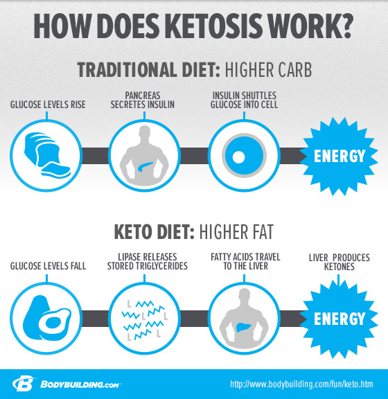 in-depth-look-at-ketogenic-diets-and-ketosis_07