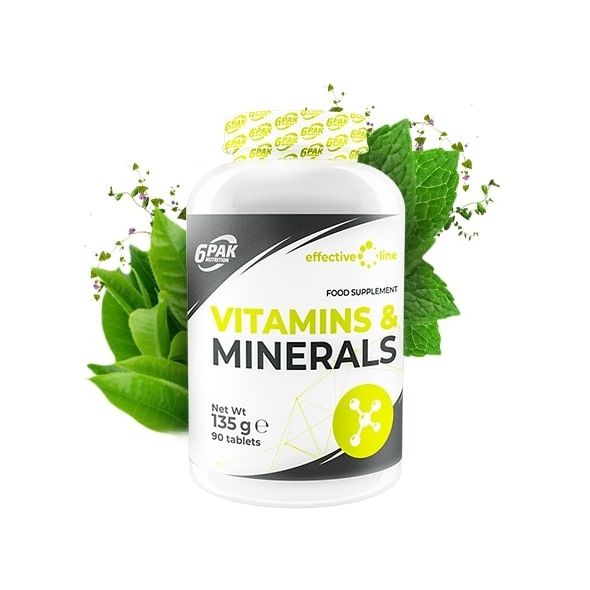 6PAK Vitamins i Minerals, 90 tableta